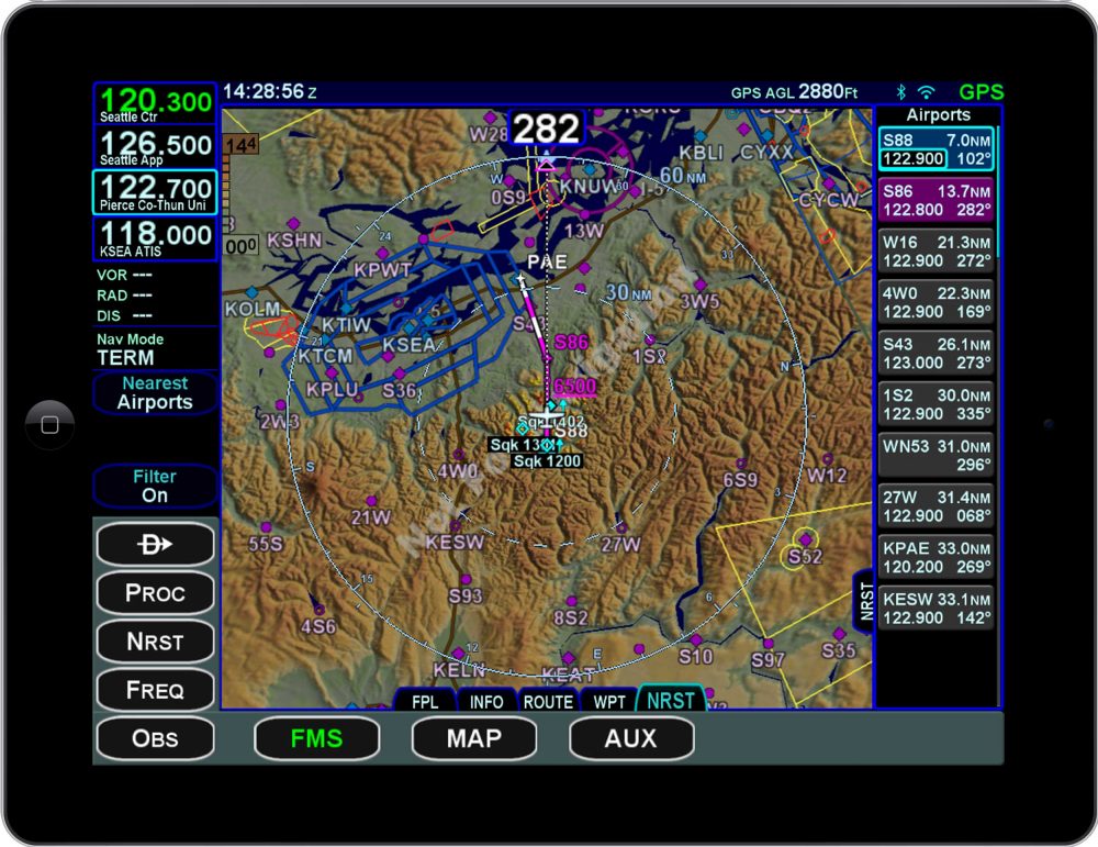 Avidyne iPad app