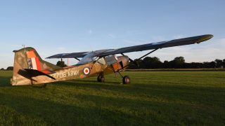 Auster