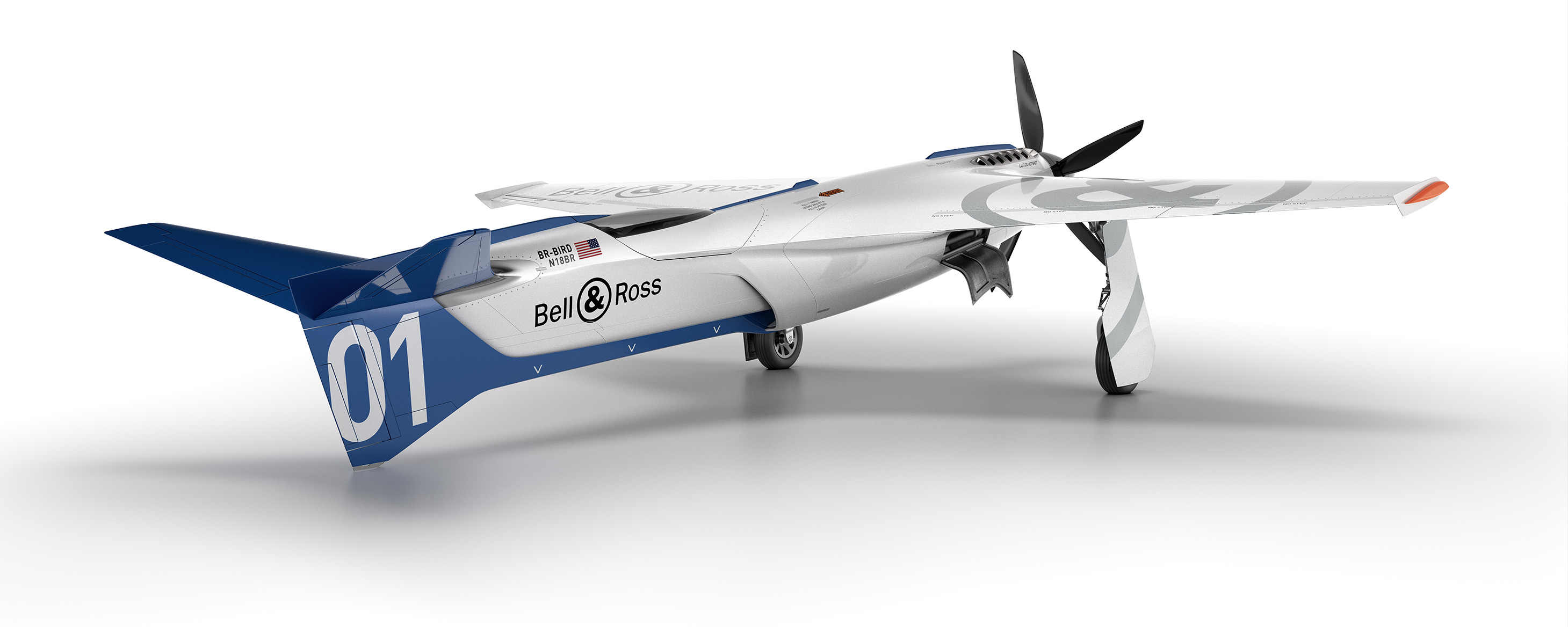 Bell Ross Racing Bird Reno plane