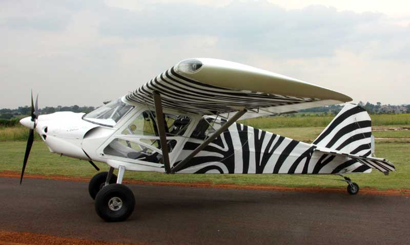 BushCat kitplane