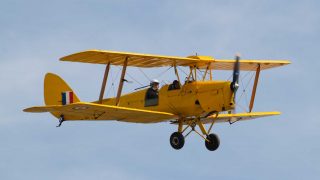 Tiger Moth