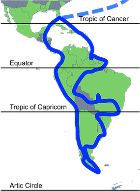 Three Journeys Round Latin America
