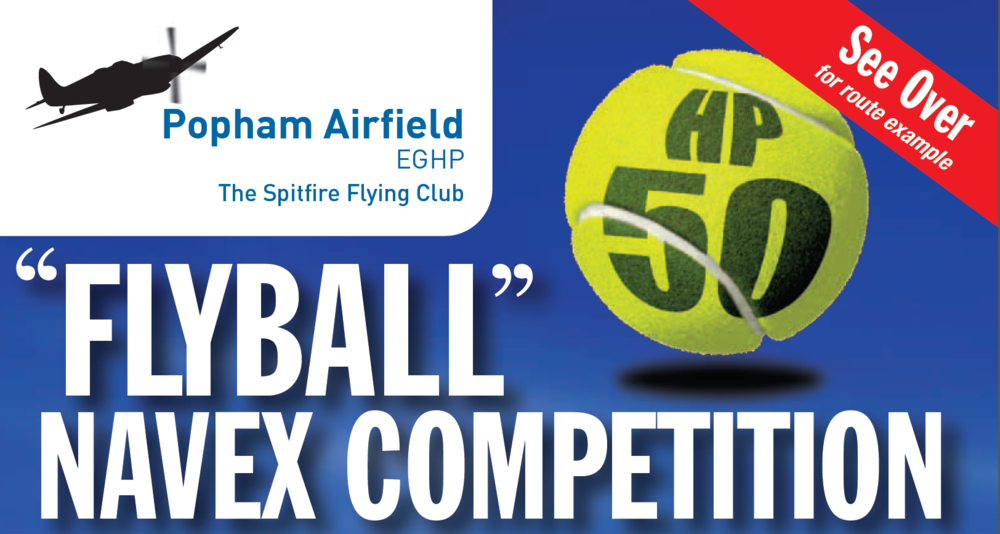 Flyball Navex Competition
