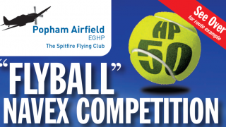 Flyball Navex Competition