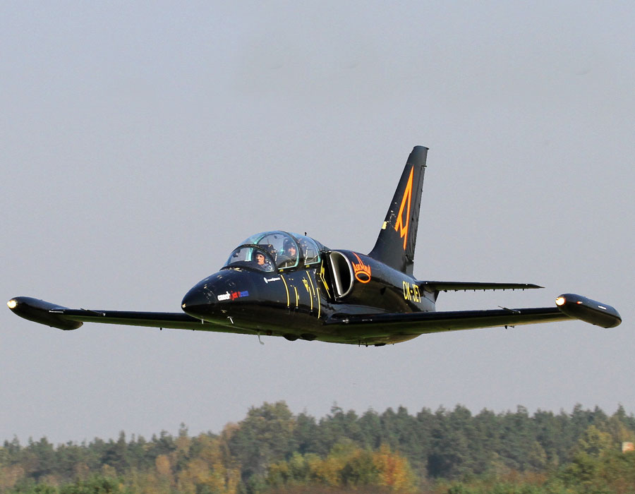 MiGFlug's L-39 Albatros jet