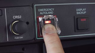Garmin Autoland
