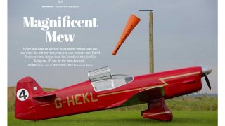 Mew Gull Summer 2020 Flyer