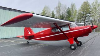 Bearhawk Companion