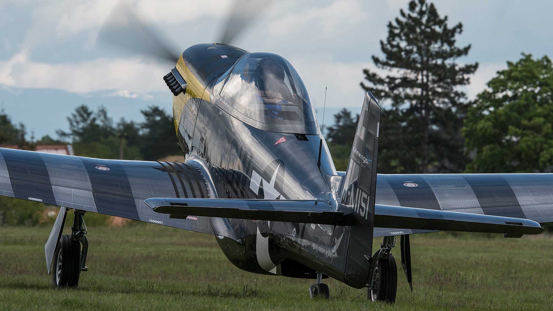 Scalewings Mustang