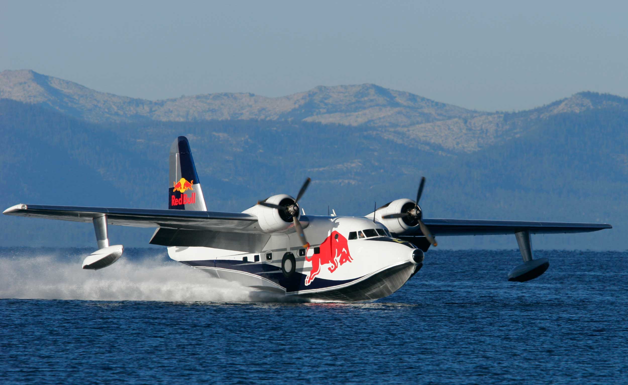 Red Bull Albatross