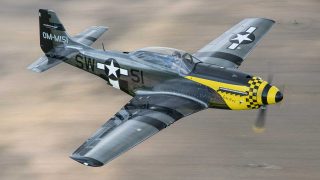 ScaleWings SW_51